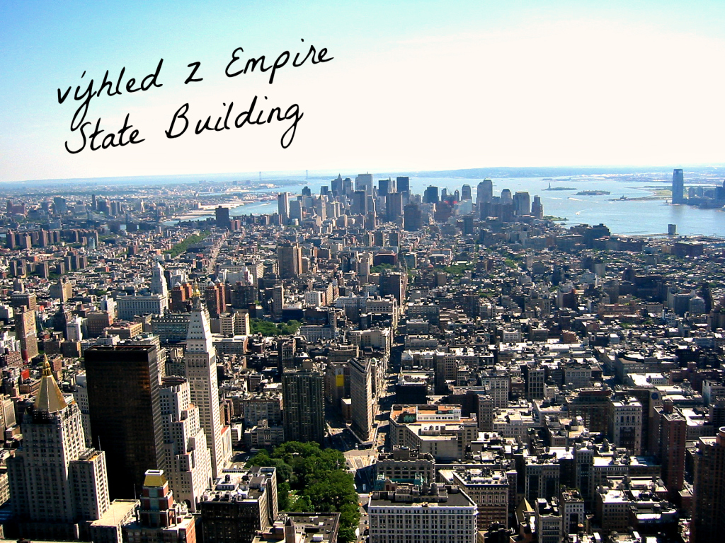 Downtown_New_York_City_from_the_Empire_State_Building_June_2004after